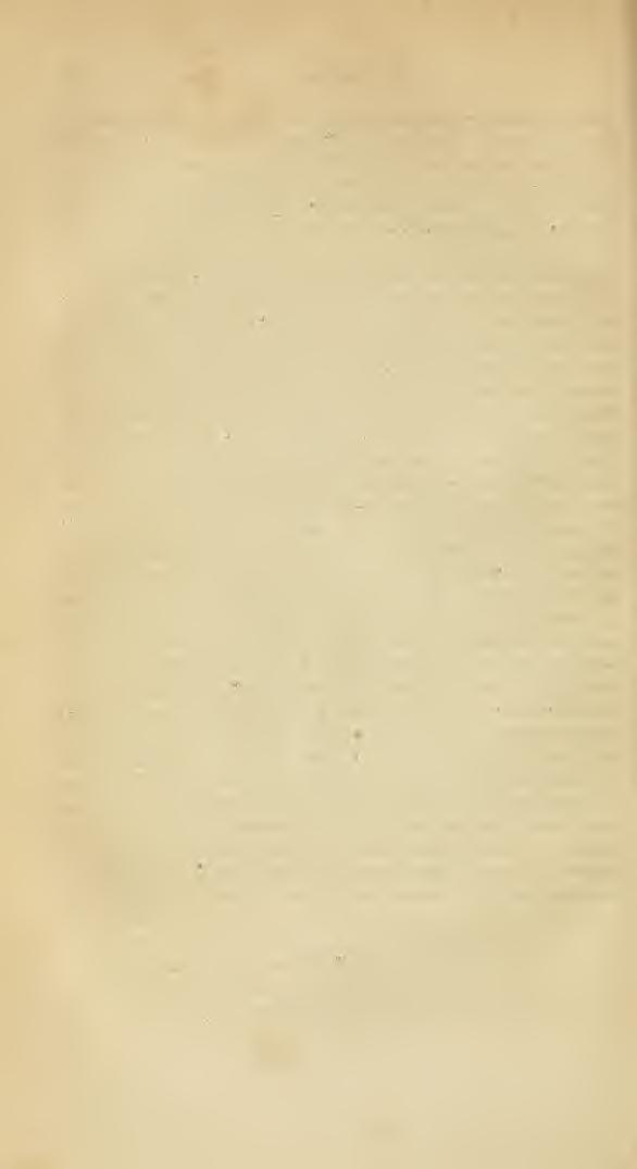 24 H. Loew: durch ihre auffallend glanzlose Färbung auszeichnet, da ferner die Oberseite des Hinlerleibs der lvleigen''schen Art schwarzbraun und nur die Unterseite desselben gelb sein soll, während