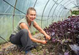 46 Gewerbe, Energie und Versorgung Die Tee- und Kaffee- Botschafter Als Frauen-Pionierunternehmen im Kräuteranbau vor 15 Jahren gegründet, ist die Kräutergarten Pommerland eg heute eine erfolgreiche