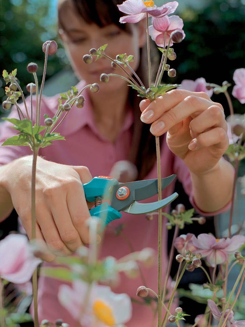 Blumen schneiden Alle Produkte und mehr Infos unter: www.gardena.de/blumen-straeucher Ein Garten mit prächtig blühenden Blumen ist besonders schön und wirkungsvoll.