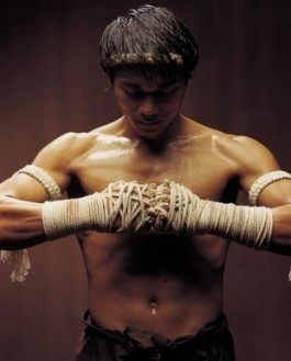 Muay Thai ist der Nationalsport Thailands Muay Thai ist die Wissenschaft der 8 Gliedern Der Traum eines jeden Muay