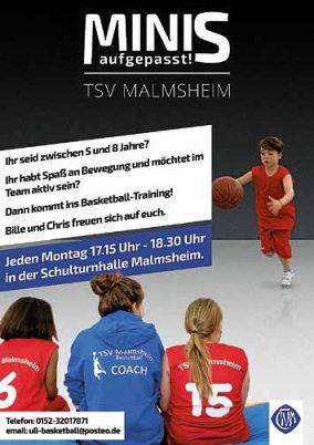 Stadtnachrichten VereinSnachrichten donnerstag, 19. november 2015 29 Abteilung Basketball Katharina Alheit Abteilungsleiterin, Tel.: 07159/4200192 Homepage: www.tsvmalmsheim.wordpress.