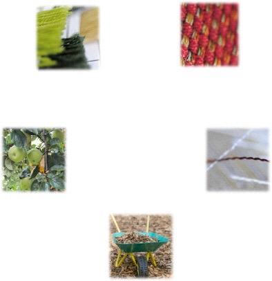 Biologischer Kreislauf: Textilien Climatex Lifecycle: Möbelbezugstoff von Gessner AG