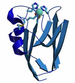 weiteren Proteinen: Blaues