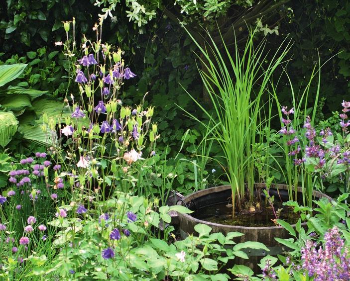 16 Gartengestaltung mit heimischen Pflanzen Miniteich feuchtfröhliches Schmuckstück auch die Gartentiere Nicht nur die Pflanzen brauchen Wasser Baden oder um kurz en, Trink sind dankbar für eine