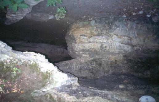 Nicht touristisch erschlossene Höhlen 8310 Kurzbeschreibung Höhlen sind natürliche unterirdische Hohlräume, groß genug um von einem Menschen betreten zu werden und geprägt von einem mehr oder weniger