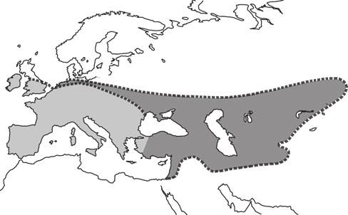 Die Menschenart mit dem Namen Homo neanderthalensis (Neandertaler) lebte vermutlich nur in Europa. Diese Menschenart wurde nach dem berühmten Skelettfundort bei Düsseldorf benannt.