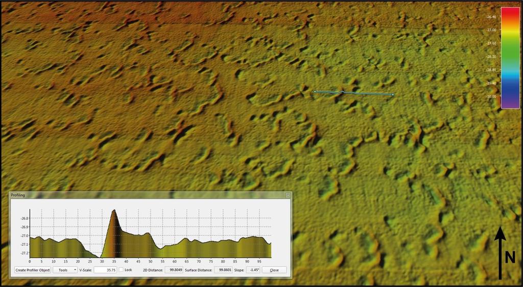 Teilprojekt 6 Abbildung 1.1. Kleinskalige Meeresbodenvertiefungen im NOAH Gebiete E (He468). Das ca. 100 m lange Profil zeigt einen Querschnitt der Vertiefungen (X- und Y-Achse in Metern).