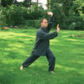 Es gibt viele Gründe, um Tai Chi Chuan zu erlernen: Spaß an Bewegung, Gesundheit, Fitness, Stressabbau, Heilgymnastik, Kampfkunst, nette Leute kennen lernen, Meditation, Energiearbeit, Rehabilitation