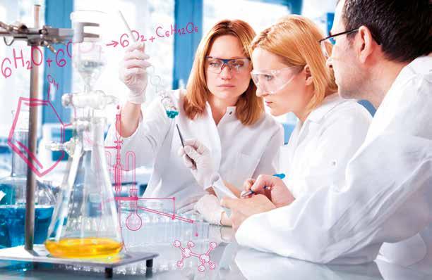 Bachelor Life Technologies Analytische Chemie Lebensmitteltechnologie Biotechnologie HES-SO