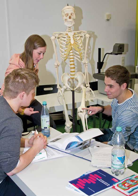Physiotherapie Bachelor of Science Dual