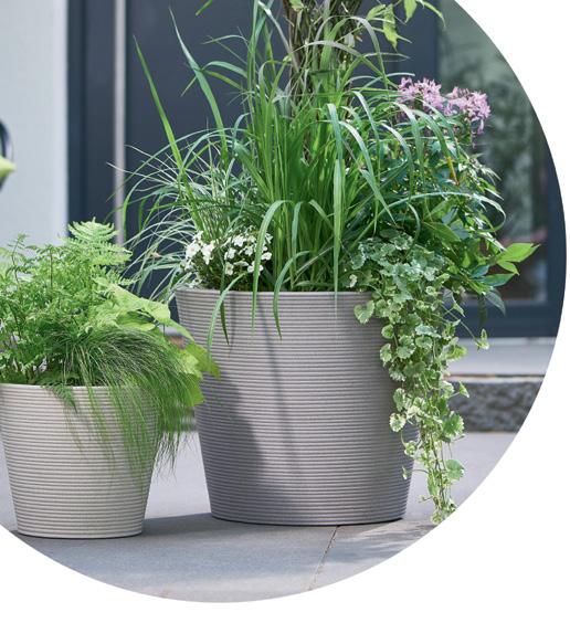 Durchdacht: Pflanzeinsatz mit Ablaufloch Setzen Sie mit stilvollen Hochgefäßen besondere