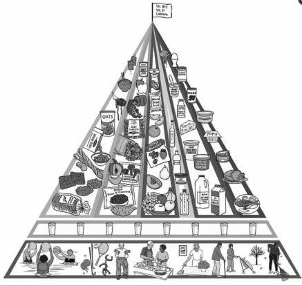 Ernährungspyramide (für Menschen > 70 Jahre) 03.