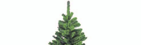 baumabfuhr Weihnachtsbaum-Abfuhrtermine 06 Legen Sie Ihren Weihnachtsbaum am Abholtag bis.00 Uhr ohne Schmuck / Verpackung und Topf am Straßenrand bereit.