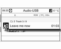CD 400 Unter der Abdeckung in der Mittelkonsole befindet sich eine USB- Buchse für den Anschluss externer Audioquellen. Hinweis Die Buchse muss immer sauber und trocken gehalten werden.