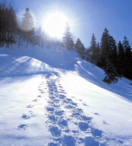 Innerhalb von 30-45 Autominuten erreichen Sie auch andere attraktive Skiregionen: - Skigebiet Hoch-Ybrig - Skigebiet Rigi Skigebiet Stoos In 3 km Entfernung und mit