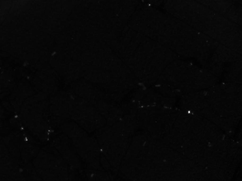 I [A] µ-rebel 0,04 0,02 400 µm