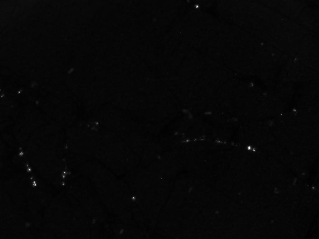 I [A] µ-rebel 0,04 0,02 400 µm