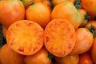 Tomate Ochsenherz Orange Mittelstarker Wuchs, Fruchtfleisch leuchtend orange gefärbt, wenig Samen feines, fruchtiges