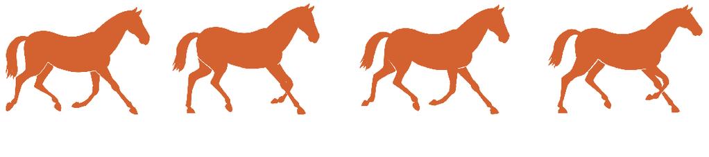 6 Die Gang-Arten des Pferdes 7 Man unterscheidet 3 verschiedene Gang-Arten. Bei jeder Gang-Art bewegt das Pferd die Beine in einer anderen Reihenfolge. Die Gang-Arten unterscheiden sich auch im Tempo.