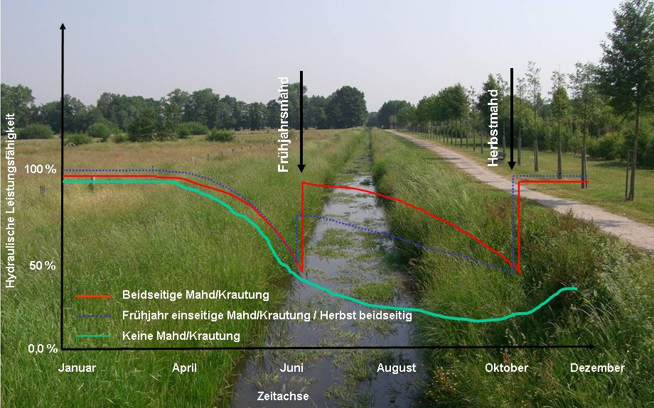 Abbildung 19: Jahresverlauf der Abflussleistung eines Gewässers In der vorstehenden Grafik werden drei Szenarien dargestellt.