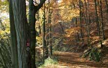 6 NATURPARK Der Naturpark Kellerwald-Edersee Naturpark Kellerwald-Edersee Natur- und Kulturlandschaft Der liegt im waldreichen Nordhessen und umschließt den gleichnamigen.