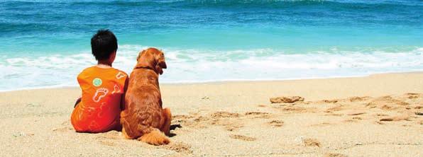 Tipps für den Urlaub mit dem Hund Der Sommer naht und damit auch das Fernweh und die Reiselust. Doch wohin mit dem treusten Freund des Menschen?