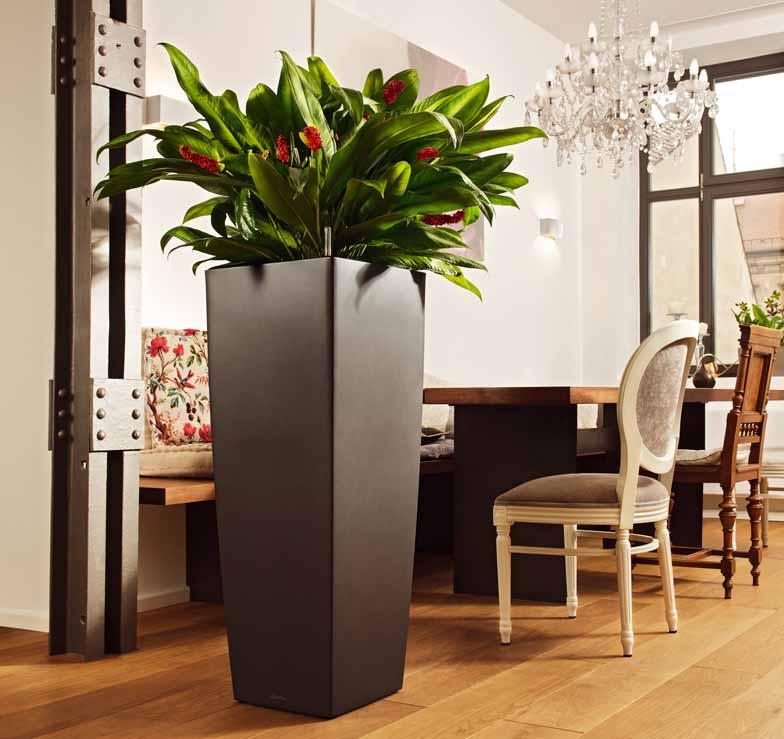 14 PREMIUM COLLECTION 15 NEU NEW CUBICO Alto 40 // Ficus microcarpa CUBICO Alto. Die Kunst der hohen Bepflanzung The art of decorating with tall planters FARBE COLOR NO.