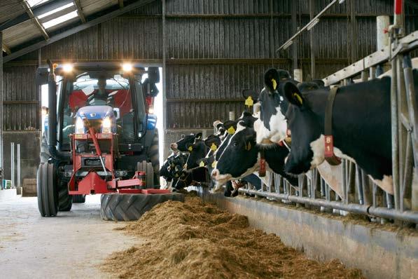 Und so funktioniert BEST4MILK: 1 Wie ist Ihre betriebliche Situation? Beantworten Sie für sich die nebenstehenden Fragen für Ihren Betrieb.