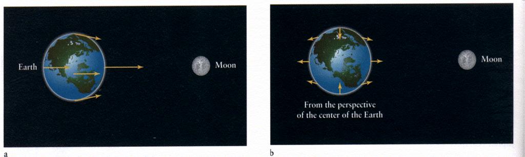 (aus [1]) Abbildung 3: Erde und Mond ziehen