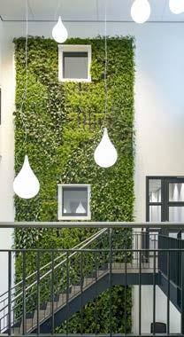 menschenfreundliches Arbeitsklima. Den urbanen Raum mit Grünen Wänden zu gestalten bietet faszinierende Möglichkeiten der individuellen Fassadenund Innenraumbegrünung.