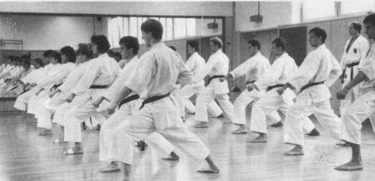 Karate, wie es heute betrieben wird ist gekennzeichnet durch 3 Säulen Kihon = Die Grundschule In ihr werden die grundlegenden Einzelbewegungen und Techniken gelehrt.
