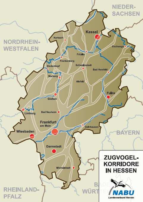 Überregional bedeutsame Zugvogelkorridore in Hessen Die Ermittlung dieser Zugkorridore fand auf folgenden Ebenen statt: - Datenmaterial der ehrenamtlichen Ornithologen aller NABU-Kreisverbände aus