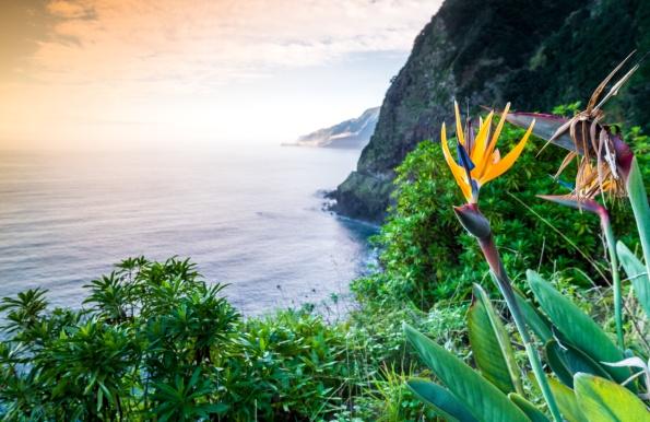 Besonders ein Spaziergang durch den botanischen Garten in der Hauptstadt Funchal wird Blumenfreunde begeistern. Wer etwas mehr Spannung sucht, wird im Süden der Insel fündig.