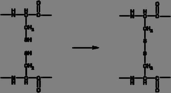 Tyrosin neigt eher dazu (mit einer aromatischen Seitenkette) sich zusammenzulagern und die dreidimensionale Struktur des Proteins zu stabilisieren.