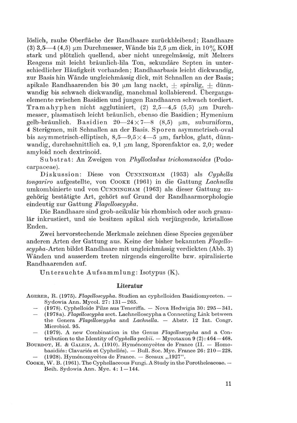 Verlag Ferdinand Berger & Söhne Ges.m.b.H., Horn, Austria, download unter www.biologiezentrum.a löslich, rauhe Oberfläche der Randhaare zurückbleibend; Randhaare (3) 3,5 4 (4,5) y.