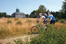 16 Bike Arena Sauerla n d - Die ultimative Herausforderung für konditionsstarke Biker!