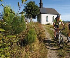 2 Faszinat i Im Sauerland ist die anspruchsvolle Topographie nicht ohne Grund bei Mountainbikern und Radwanderern beliebt, denn so mancher Berganstieg stellt sie vor eine echte Kraftprobe.