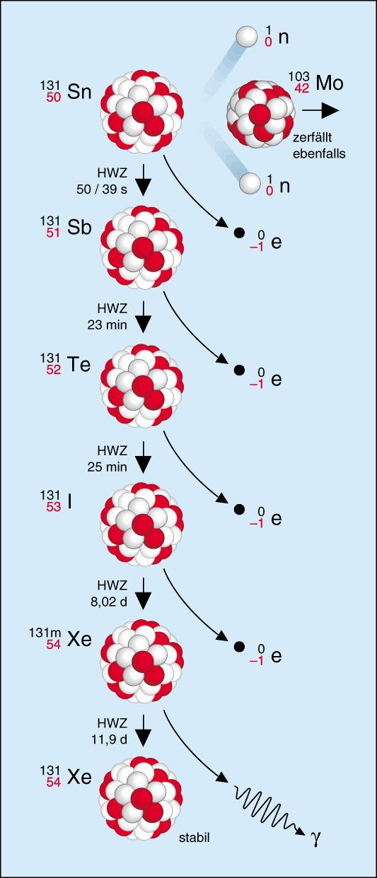 Abb. 7.: Radioaktiver Zerfall des Sn-3 Abb. 7.2: Radioaktiver Zerfall des l-37 Bei der Spaltung der Kerne des U-235 mit Hilfe langsamer Neutronen tritt eine Neutronen- und Gammastrahlung auf.