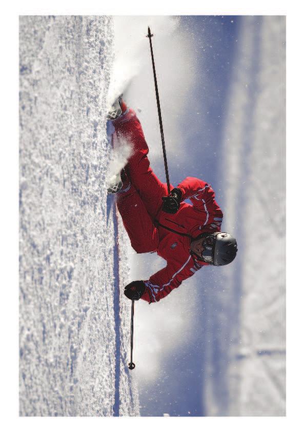 Gerätekunde Ist der Ski heute - ein Hightechprodunkt? Ski Der Alpinski = Komplizierter Verbu