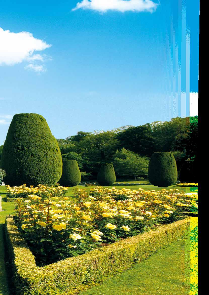 Thomas Gainsborough und John Constable erinnern. Natürlich fehlt es in diesem Paradies auch nicht an den typisch englischen Gärten und Parks und verschwenderischer Pflanzenpracht.