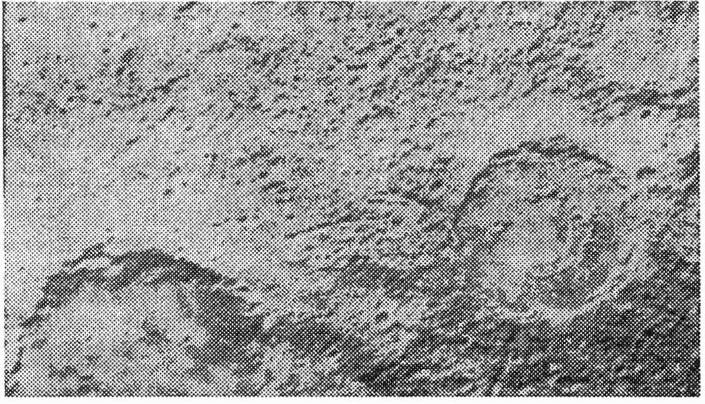 Abb. 3: C) Komplexe Krater mit Ringstruktur auf der Merkuroberfläche; Durchmesser Ca.