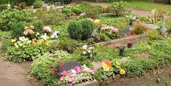 Diese Reihengrabstätten sind entweder mit einer kleinen Pflanzfläche am oder vor dem Grabmal angelegt oder flächendeckend von der Friedhofsverwaltung bepflanzt.