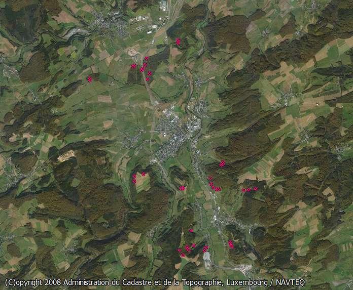 5.5.2.1. Im Untersuchungsgebiet Unteres Alzettetal bei Pettingen/Mersch Abb.