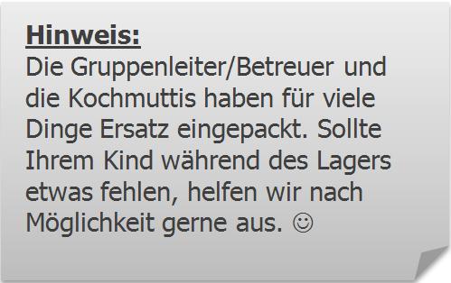 ) ( ) Kissen ( ) Taschenlampe und Zauberstab ( ) Klappstuhl ( ) Schirmmütze/Cappy oder Jacke mit Kapuze (zum Sonnen- und Zeckenschutz) ( ) Schuhe (Wichtig: Mehrere Paar Schuhe einpacken!