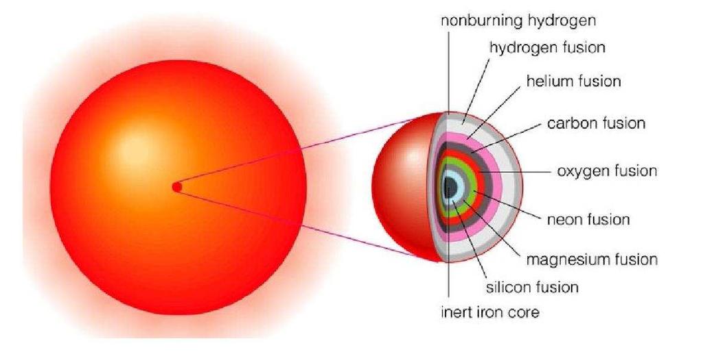 Entwicklung der Sterne anhand des Hertzsprung Russell Diagramms Endphasen der Sternentwicklung - Sterne ab 8M Ende der Kernfusion Zwiebelschalenmodell Zwiebelschalenmodell als Ende der