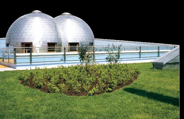 Systemaufbau Dachgarten mit Aquatec AT 45 8 Ausschreibungstexte unter www.zinco.