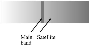 Satelliten DNA ist ursprünglich dadurch definiert, dass sie sich durch