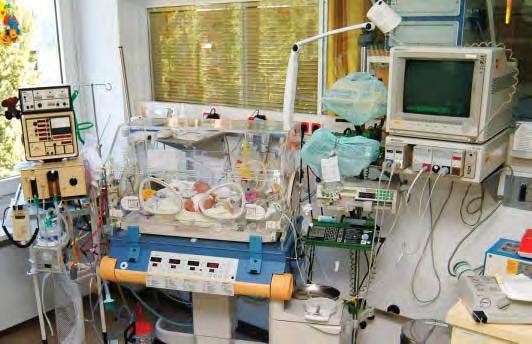 2.2 Grundlegende Kenntnisse zur Neonatologie 183 2 2 Physiotherapie bei Früh- und Neugeborenen 2.