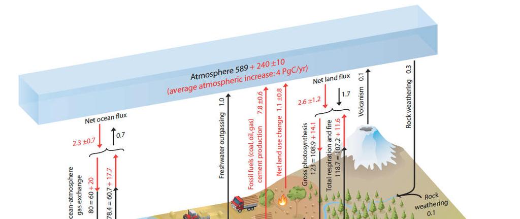 Globaler organischer und anorganischer Kohlenstoffkreislauf Entstehung fossiler Rohstoffe über C- Austauschprozesse zwischen den C- Speichern Litho-, Bio-, Hydro- und Atmosphäre Antrieb durch