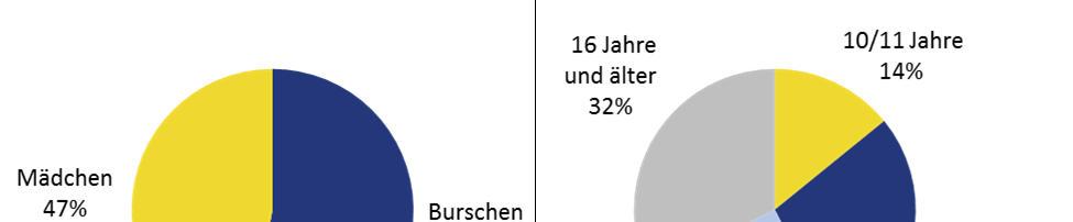 3.3 Struktur der Stichprobe 2.122 Schülerinnen und Schüler haben an der Befragung teilgenommen. Davon waren 1.131 Burschen (53%) und 991 Mädchen (47%).